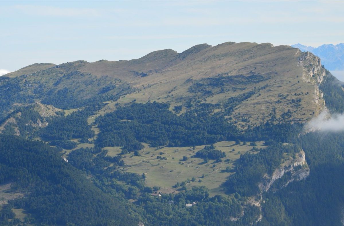 Énergie & eau : périmètre et ressources officielles