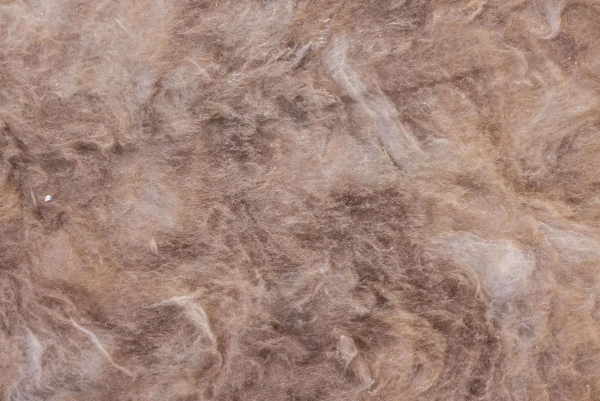 Fibres de laine de bois isolante en gros plan