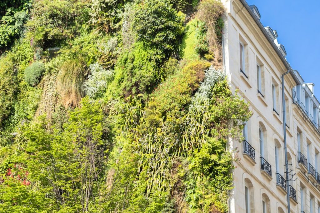 Solutions d'isolation écologiques : options, atouts et limites