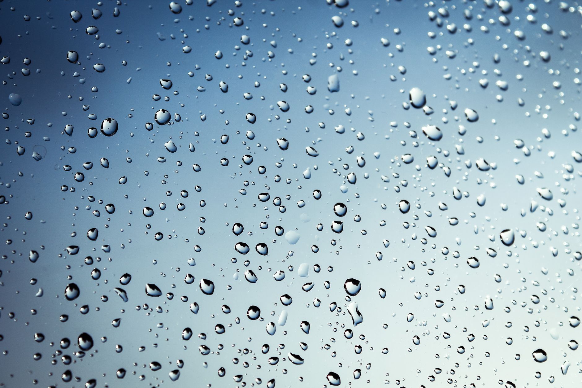 Récupération d'eau de pluie : avantages et installation