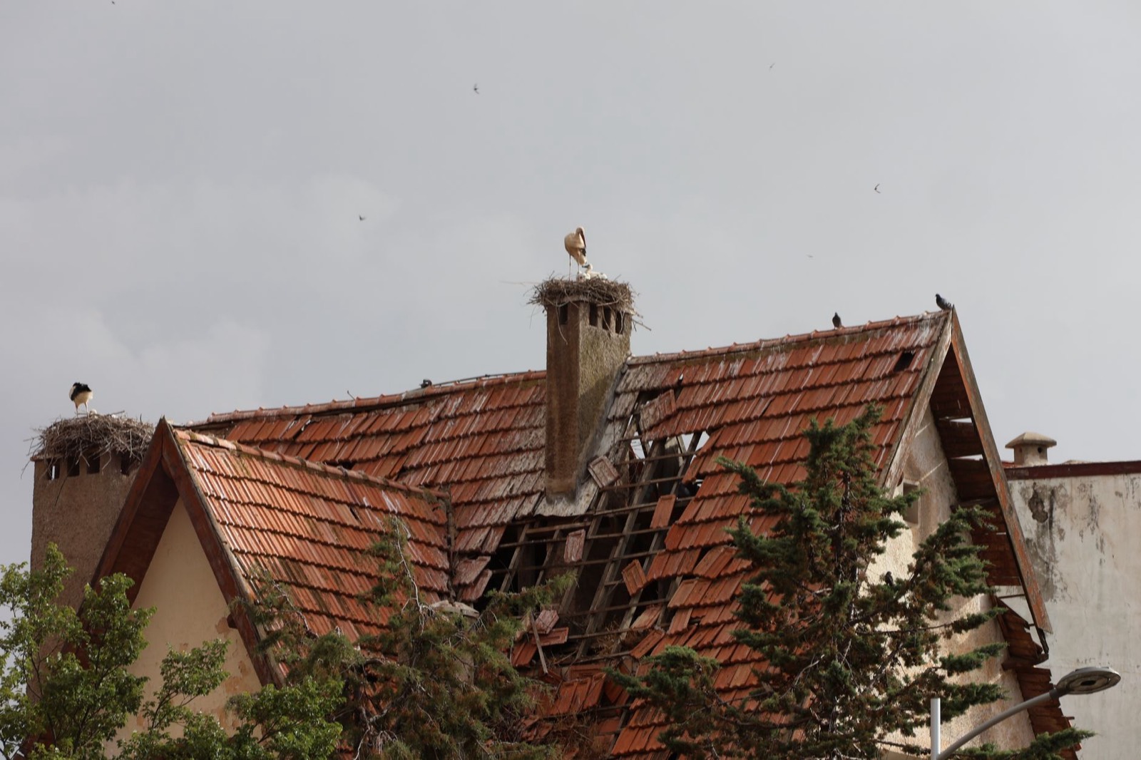 Bâche de protection posée sur une toiture endommagée après une fuite